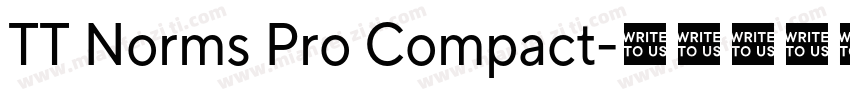 TT Norms Pro Compact字体转换